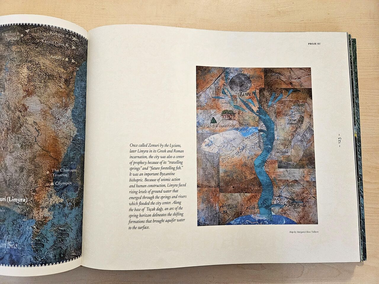 L I K Y A N I N S U K R I Z I P R O J E S U P R O J E S I N D 761377 224709