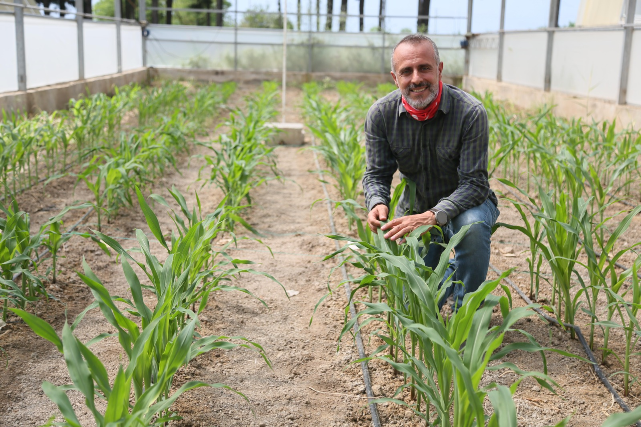 M I S I R D A K U R A K L I G A D A Y A N I K L I T U R I S L A H I N D 761130 224635