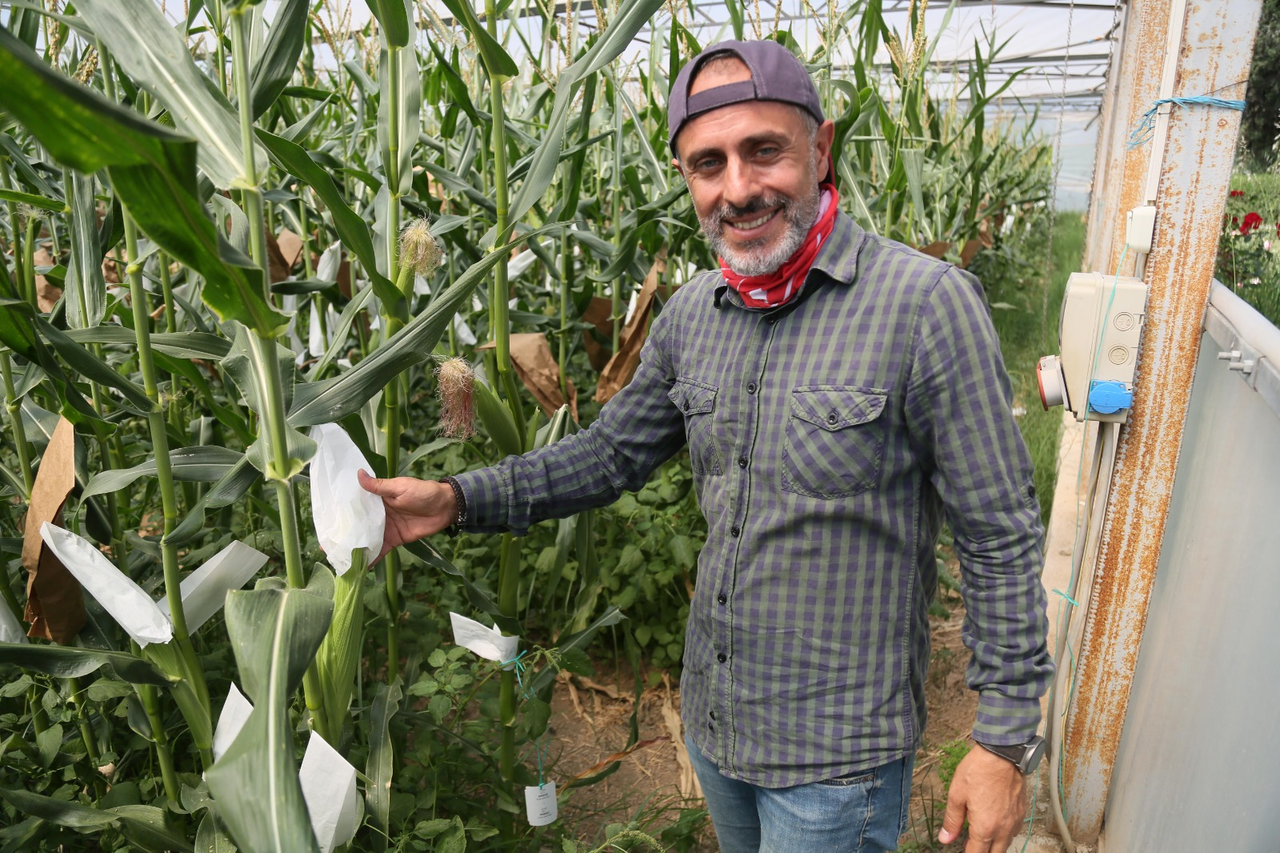 M I S I R D A K U R A K L I G A D A Y A N I K L I T U R I S L A H I N D 761131 224635