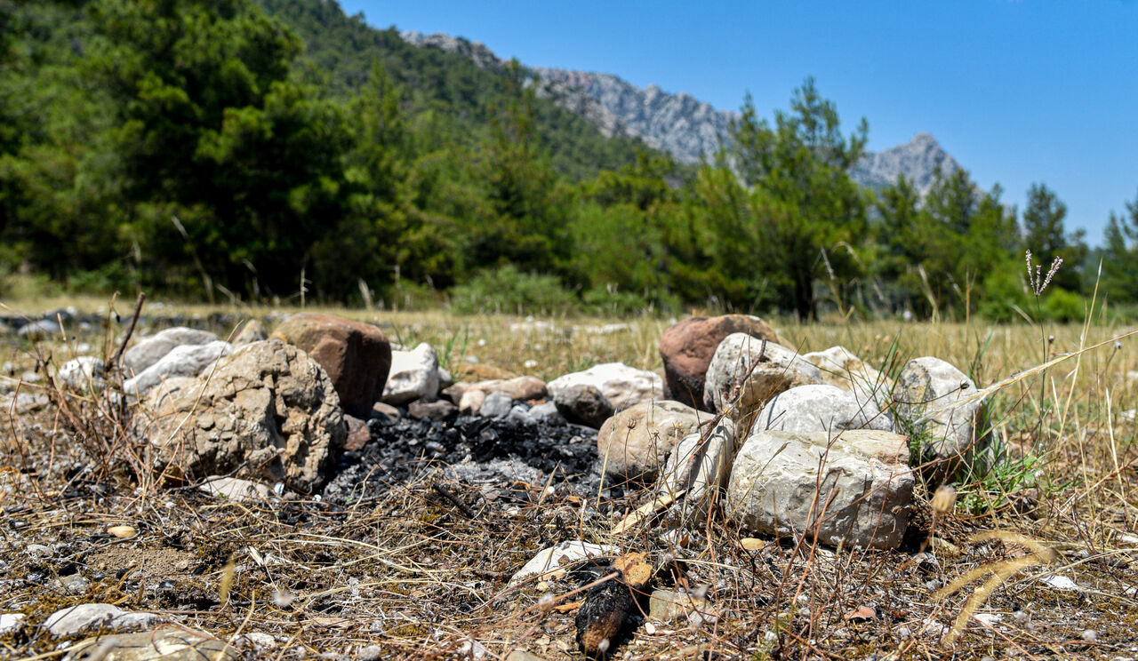 O R M A N L A R D A Y A N G I N R I S K I G E L I S I G U Z E L C A M 770760 227680