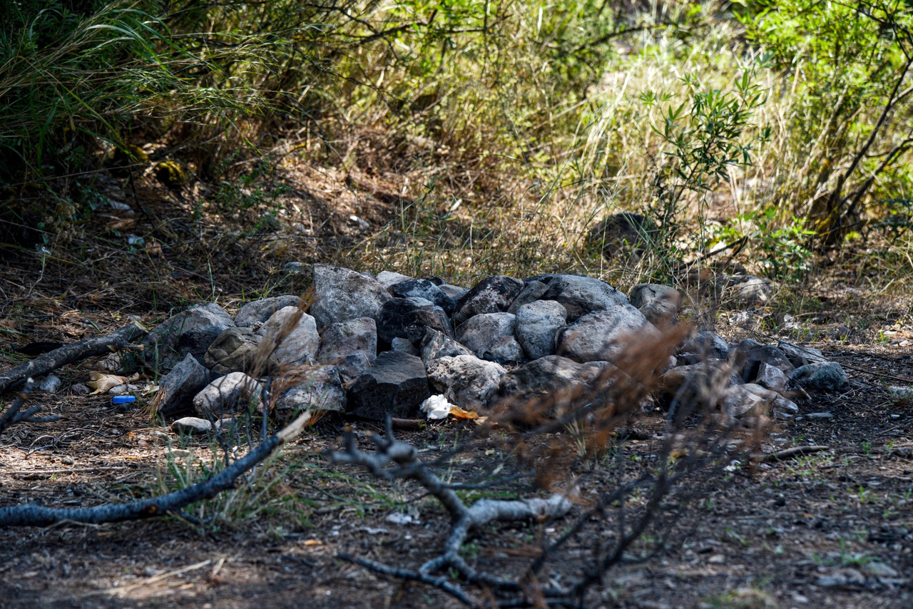 O R M A N L A R D A Y A N G I N R I S K I G E L I S I G U Z E L C A M 770764 227680