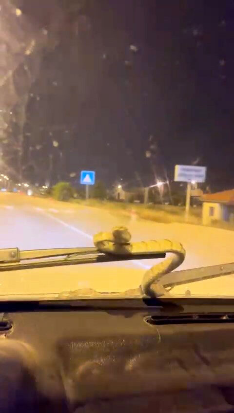 O T O M O B I L E G I R E N Y I L A N S E Y I R H A L I N D E O N 761628 224778