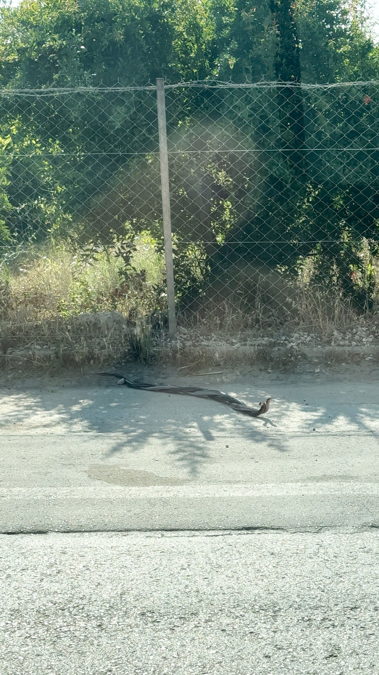 O T O M O B I L E G I R E N Y I L A N S E Y I R H A L I N D E O N 761631 224778