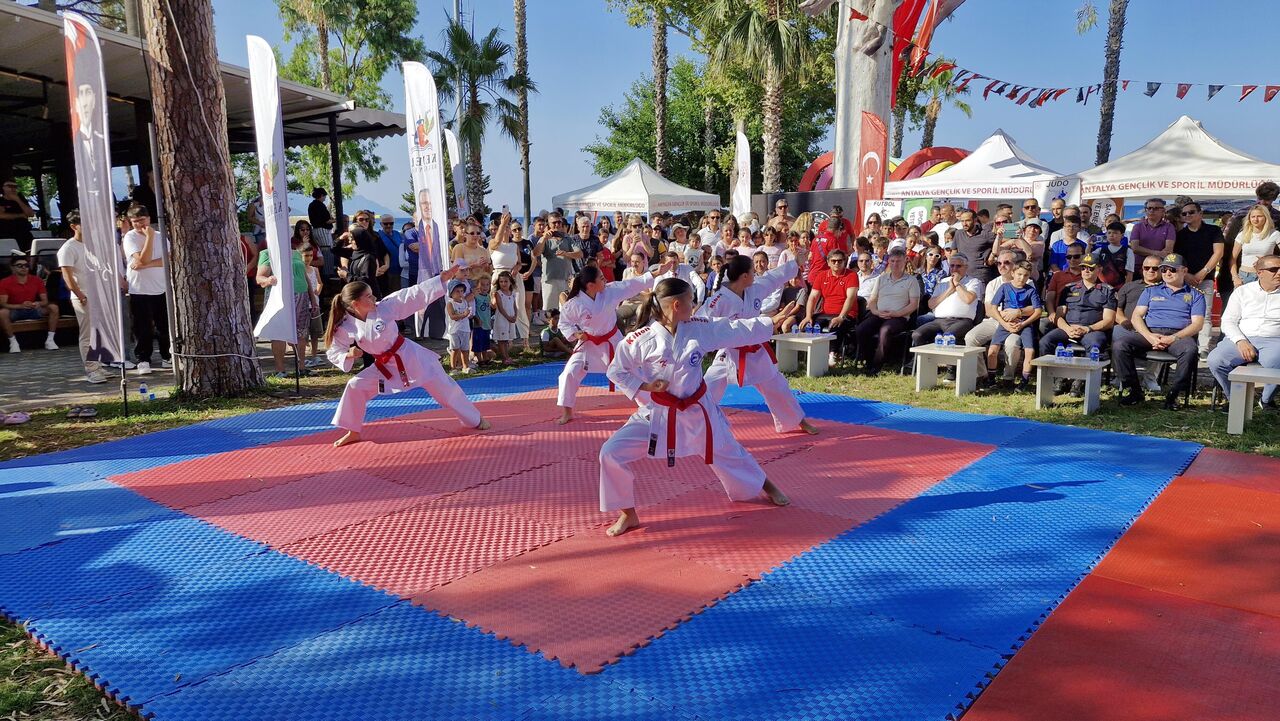 S A N A T V E S P O R K U L T U R U N Y E T E N E G I N G E L E C E 773362 228540