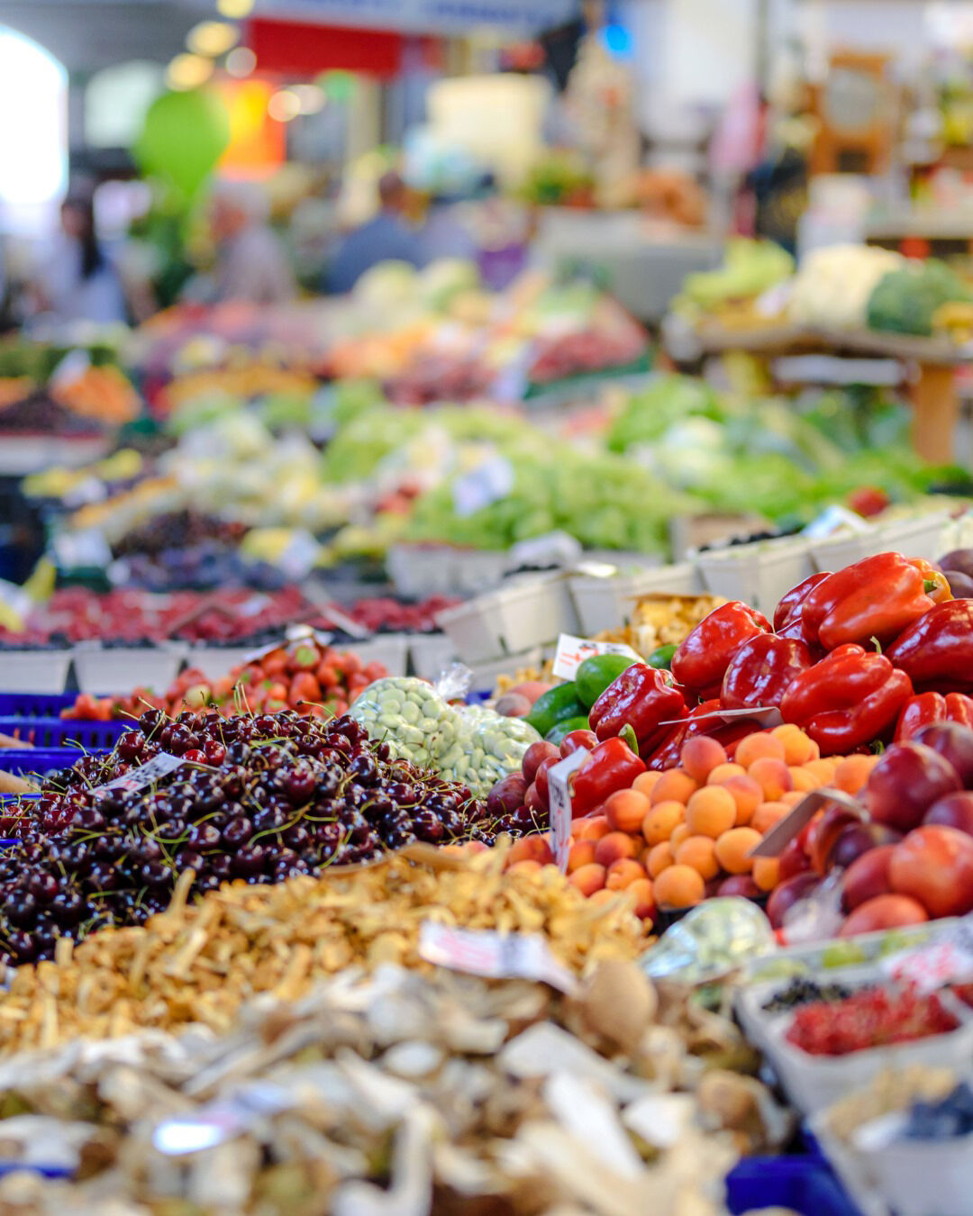 A L I B I D I S E K T O R U N I K I Y E B O L U N M E S I B I Z L E 842255 249688