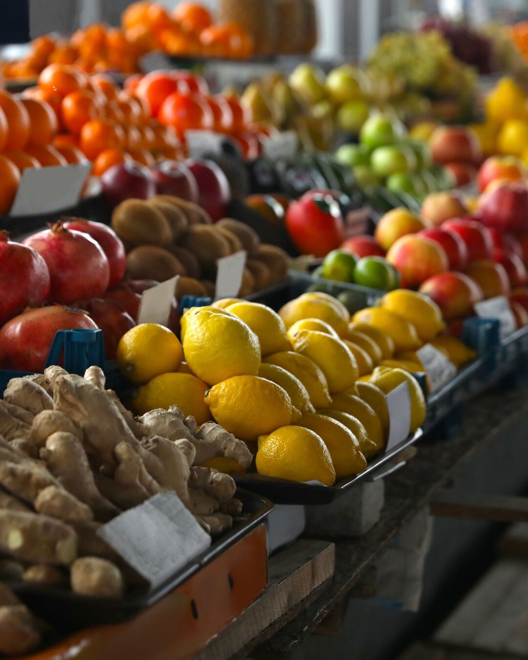 A L I B I D I S E K T O R U N I K I Y E B O L U N M E S I B I Z L E 842256 249688