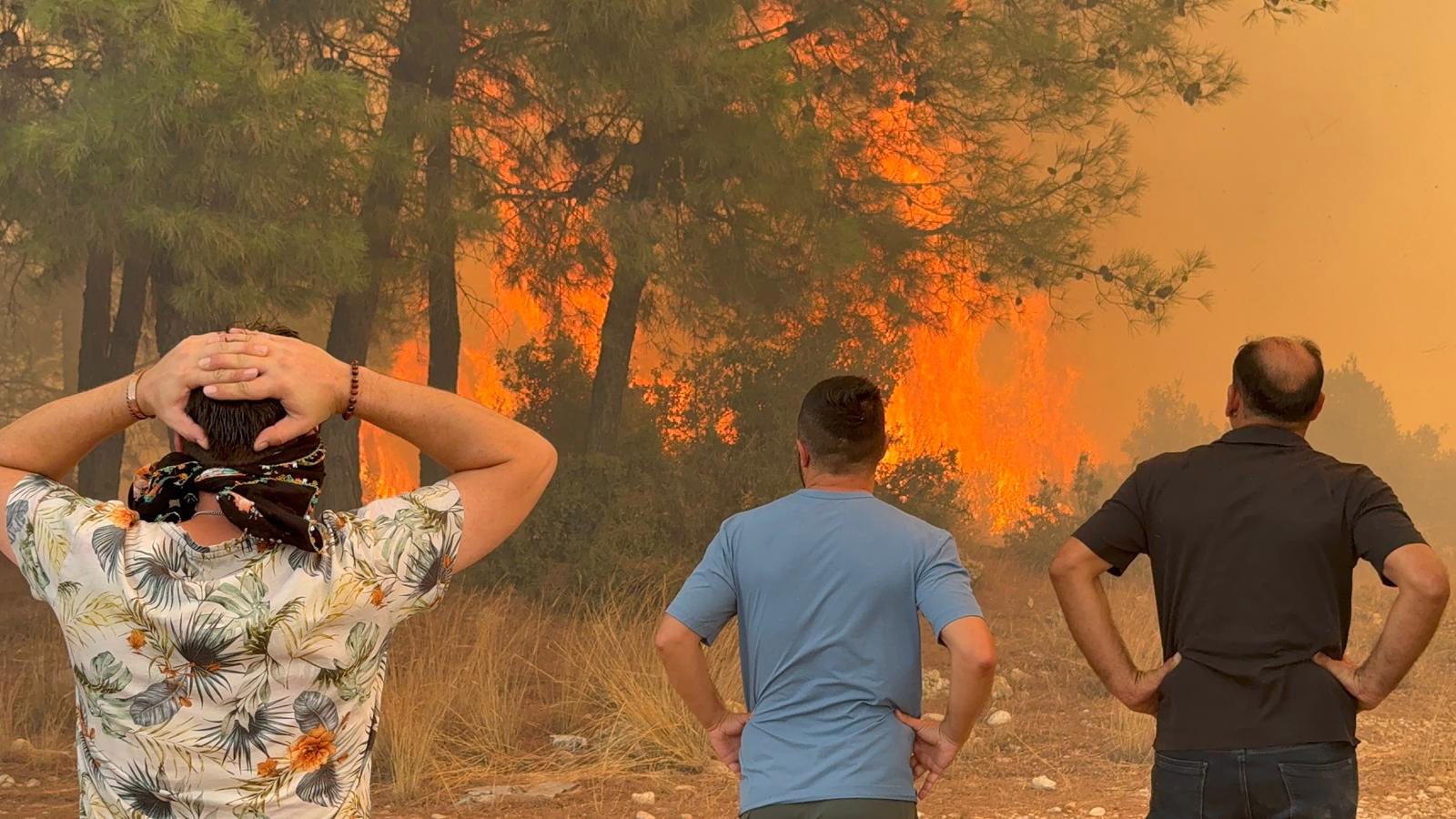 A N T A L Y A D A 2 A Y R I O R M A N Y A N G I N I E K F O T 832561 246720