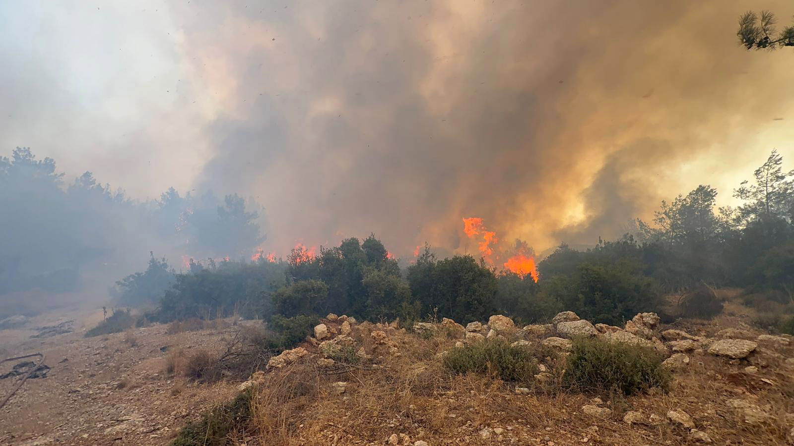 A N T A L Y A D A 2 A Y R I O R M A N Y A N G I N I E K F O T 832562 246720