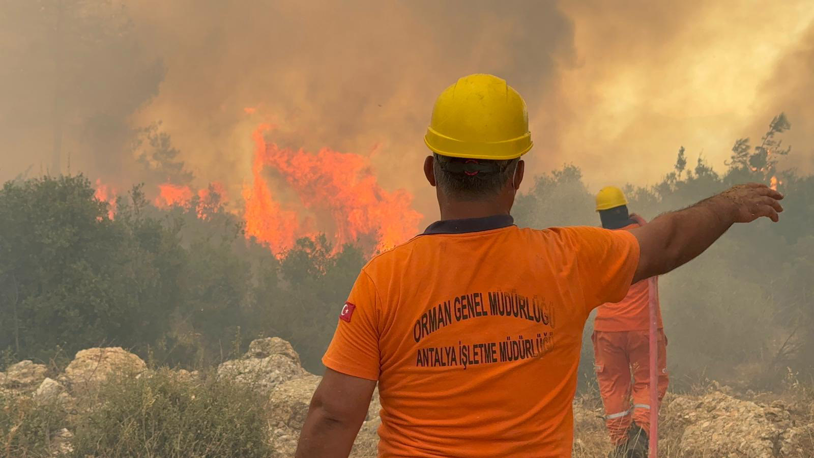 A N T A L Y A D A 2 A Y R I O R M A N Y A N G I N I E K F O T 832567 246720