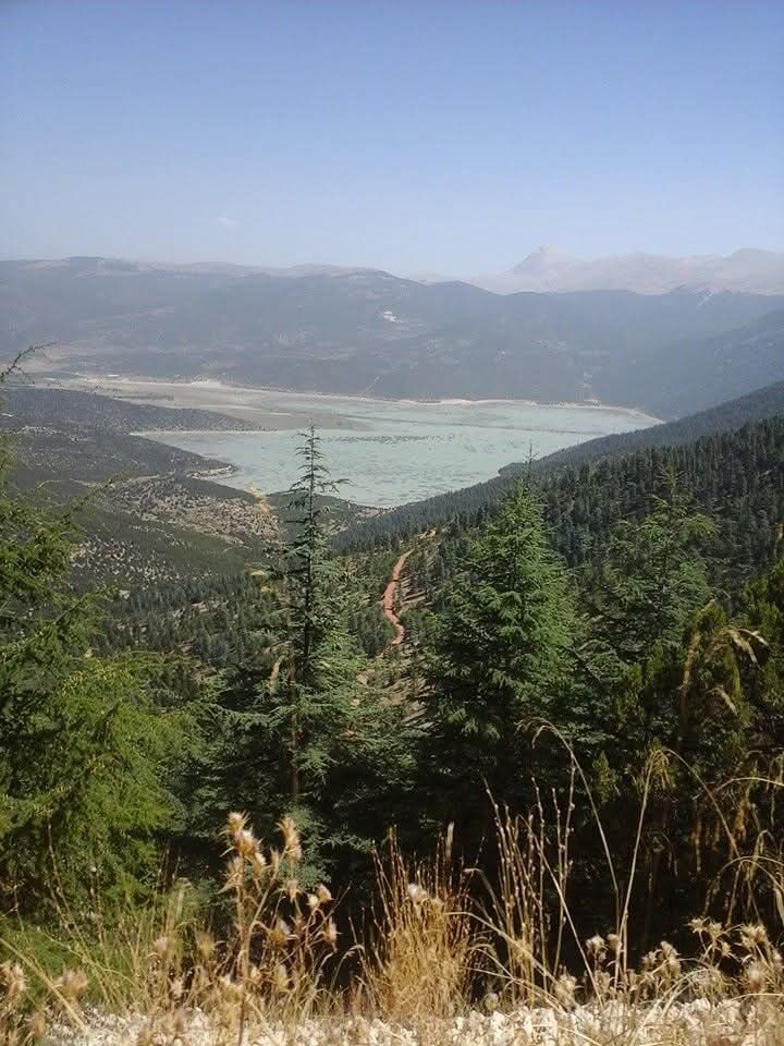 A1727C9A Db11 4E7A 98Ed 993E9D46Dabd