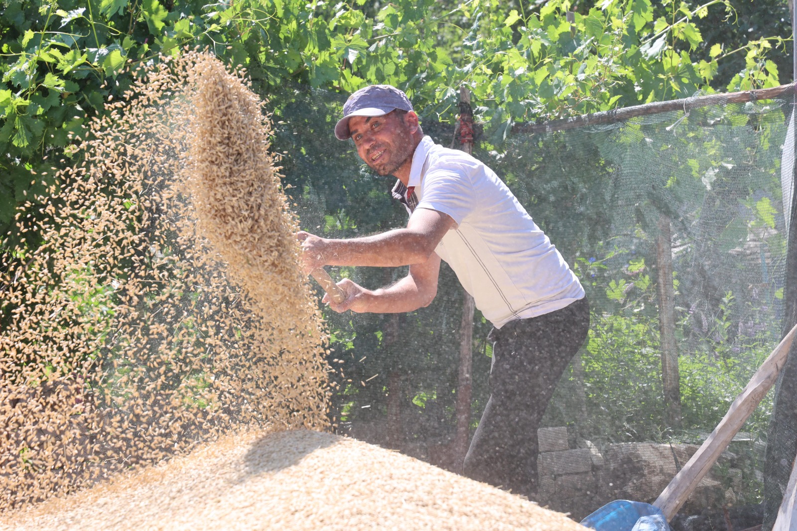 Korkuteli Yeşiloba Buğday Hasadı (1)