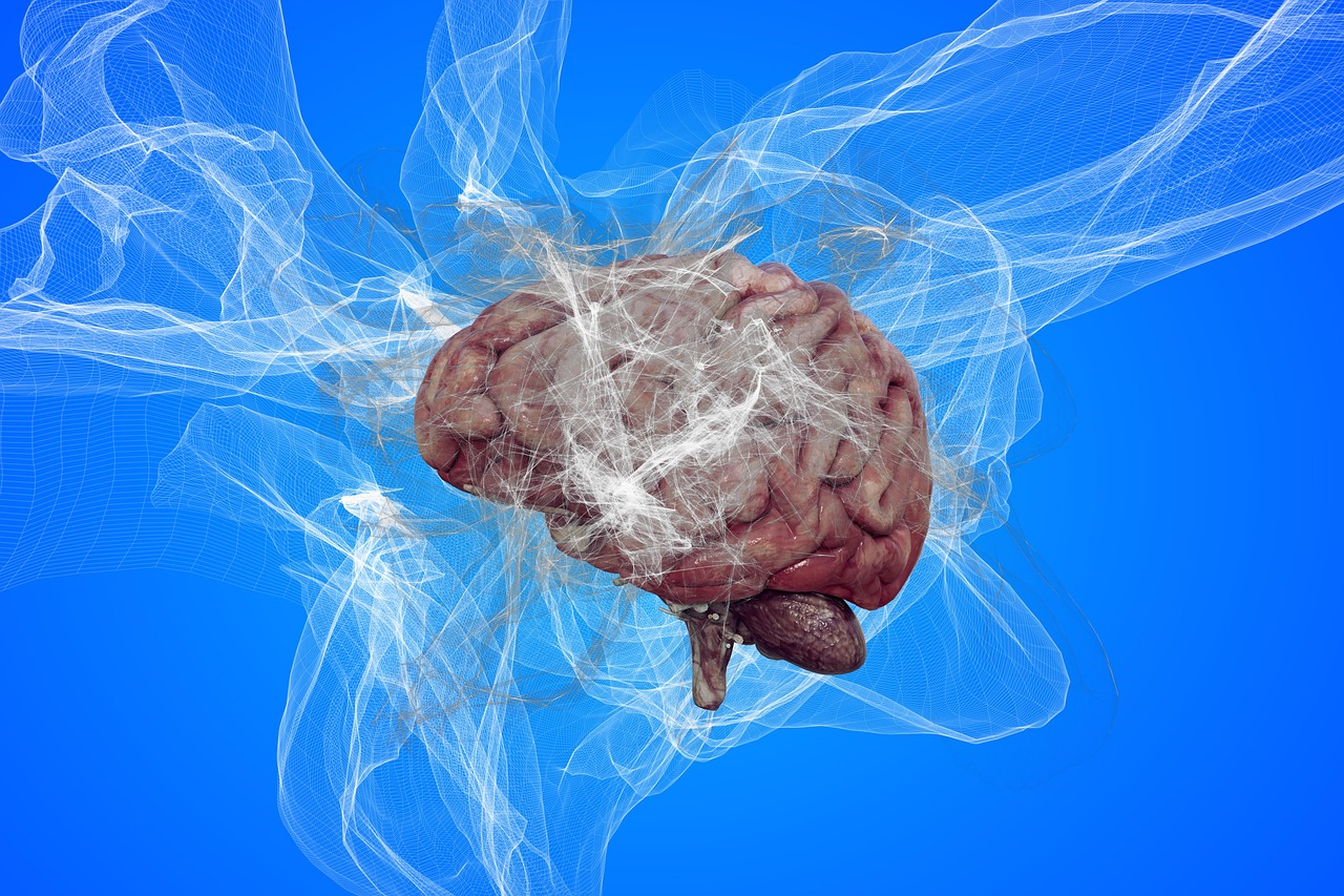 Neurons 7420662 1280