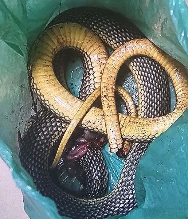 O L D U R D U G U B A C A G I N I I S I R A N Y I L A N I L E H A S T 811953 240440