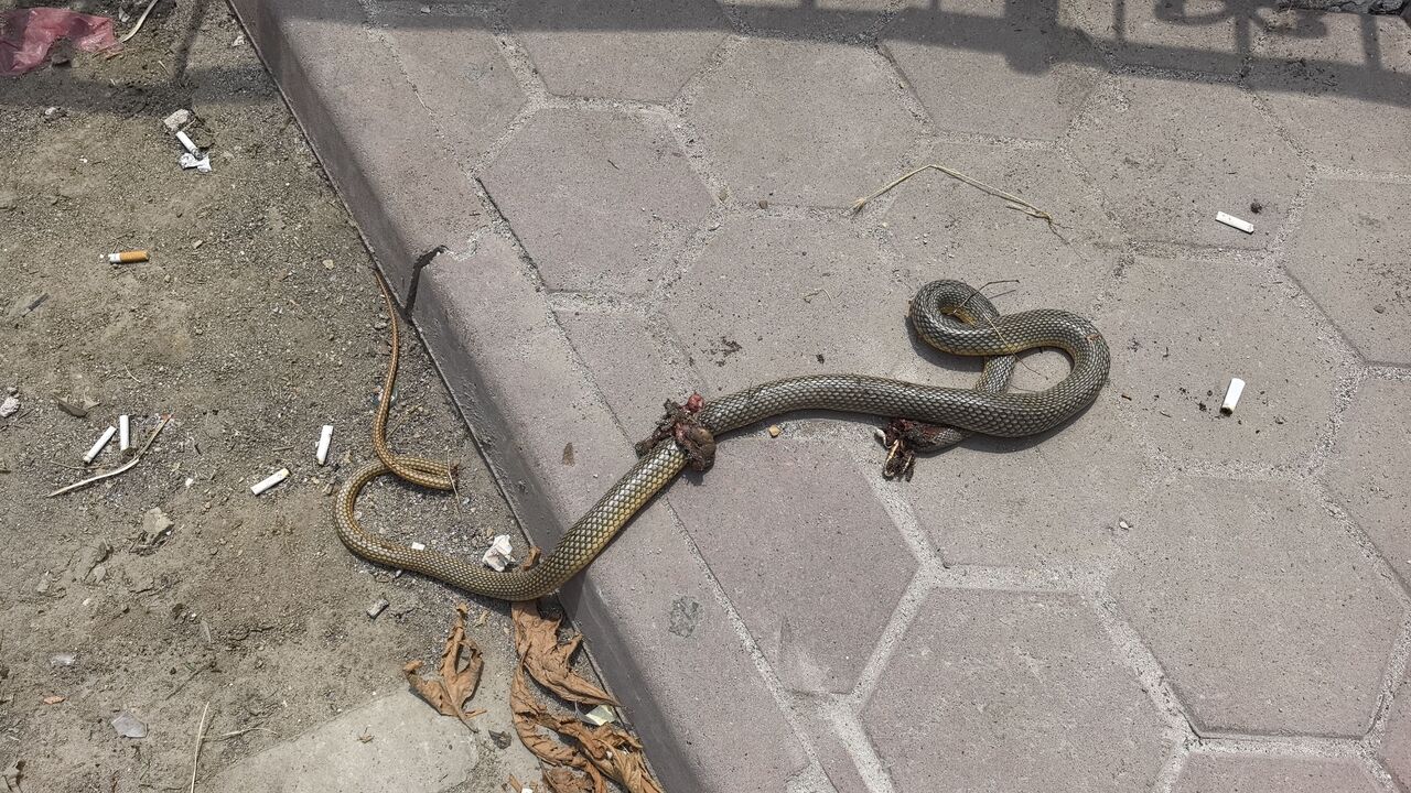 O L D U R D U G U B A C A G I N I I S I R A N Y I L A N I L E H A S T 811954 240440