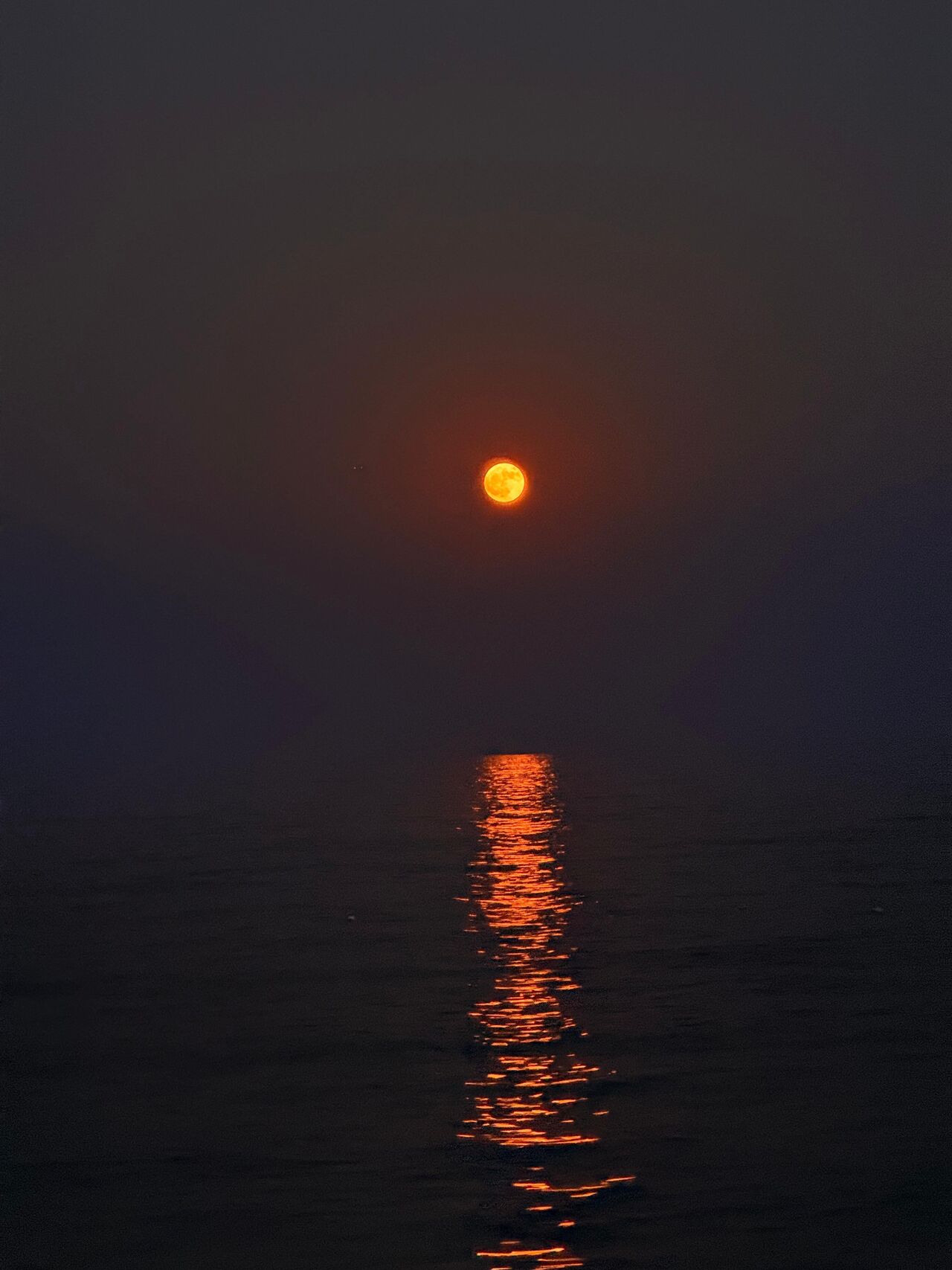 Whatsapp Image 2025 07 14 At 14.27.21