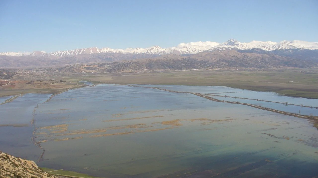 283674792 2527530017388586 1545896274308821507 N-1