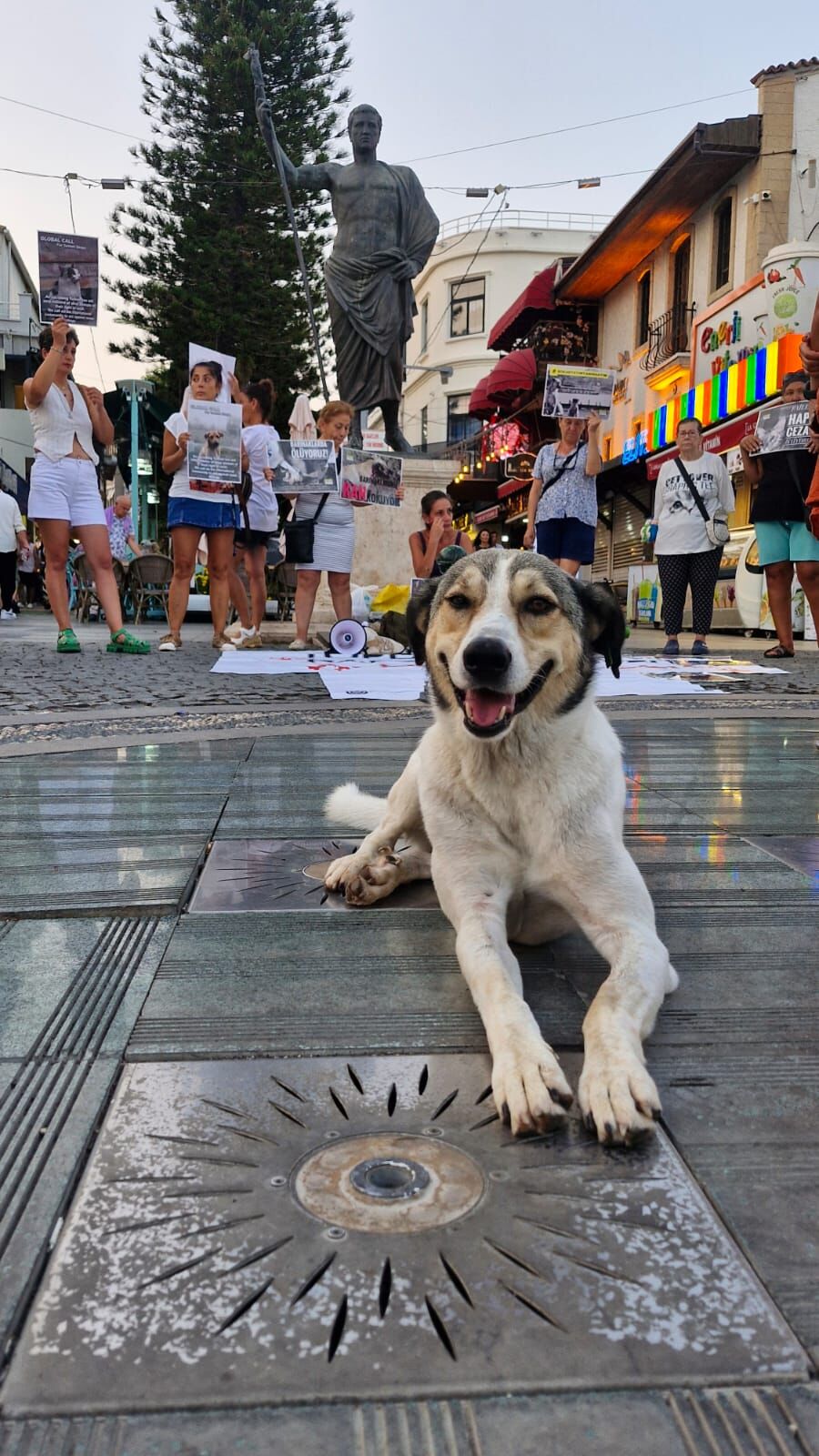 37E201B8 B607 4B70 A663 Bd227F764Fb4