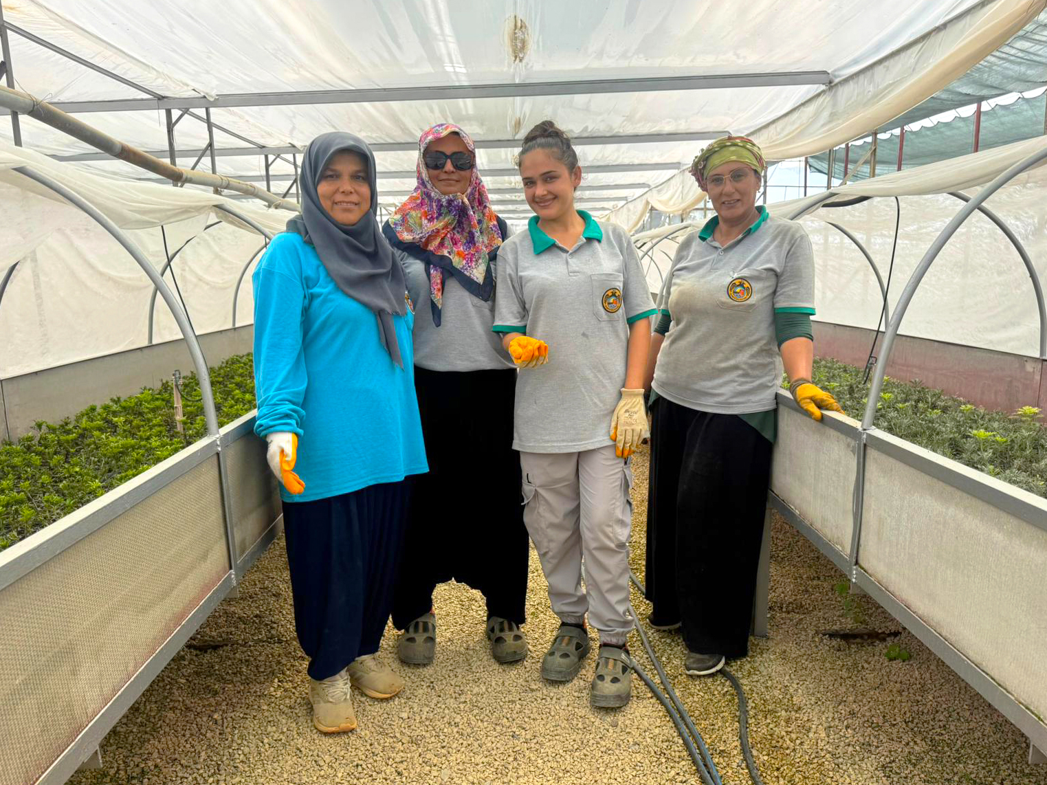 A L A N Y A D A Y E S I L A L A N L A R K A D I N L A R A E M A N E T 853420 253169