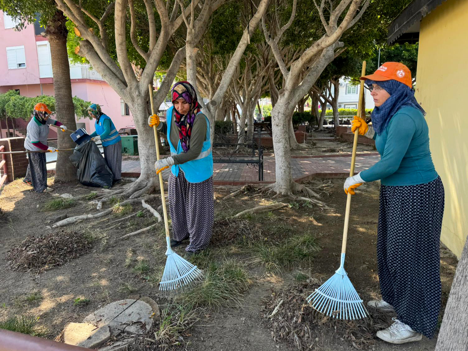 A L A N Y A D A Y E S I L A L A N L A R K A D I N L A R A E M A N E T 853421 253169