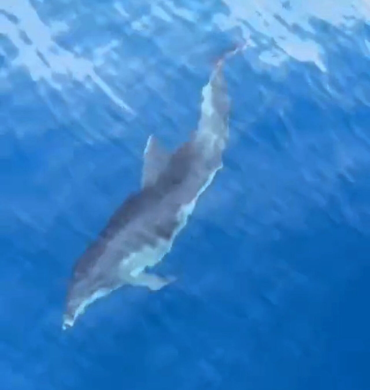 A L A N Y A D A Y U N U S L A R I N T E K N E Y E E S L I K E D I S I 879415 261213