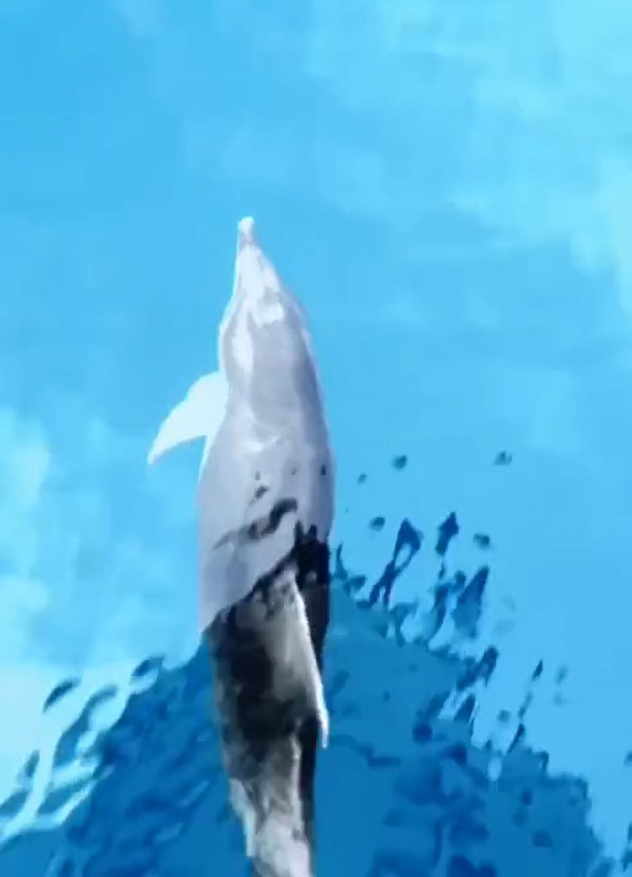 A L A N Y A D A Y U N U S L A R I N T E K N E Y E E S L I K E D I S I 879416 261213