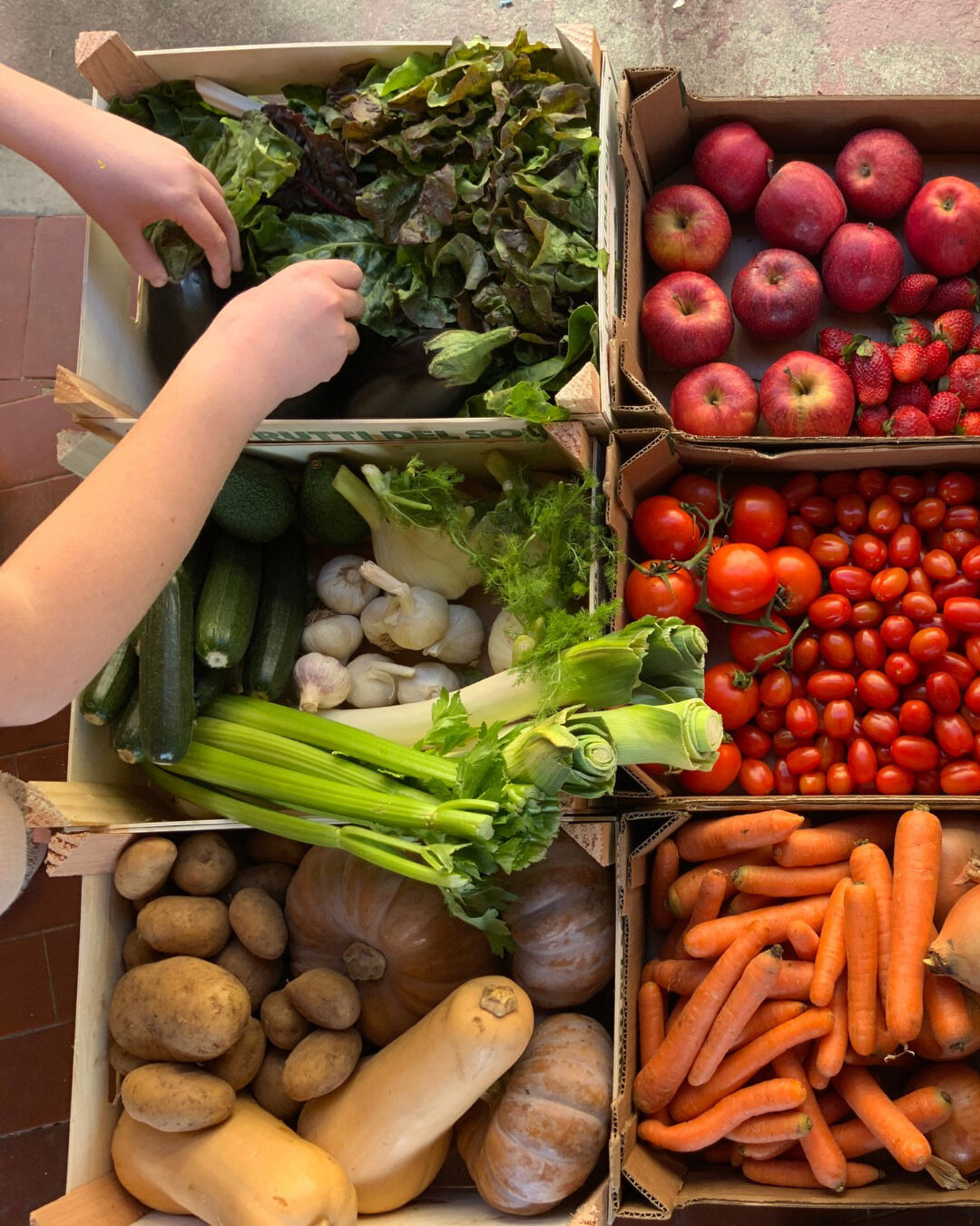 A N F A S F R E S H A N T A L Y A 18 E Y L U L’ D E K A P I L A 871673 258848