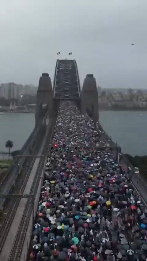 A V U S T R A L Y A D A G A Z Z E Y U R U Y U S U 100 B I N K I 847733 251379