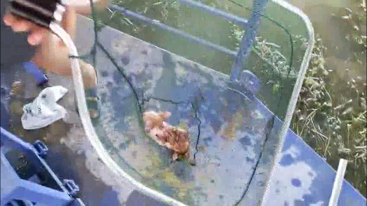 B O G A C A Y I N A D U S E N D U S E N Y A V R U K E D I K U R T A 854359 253488