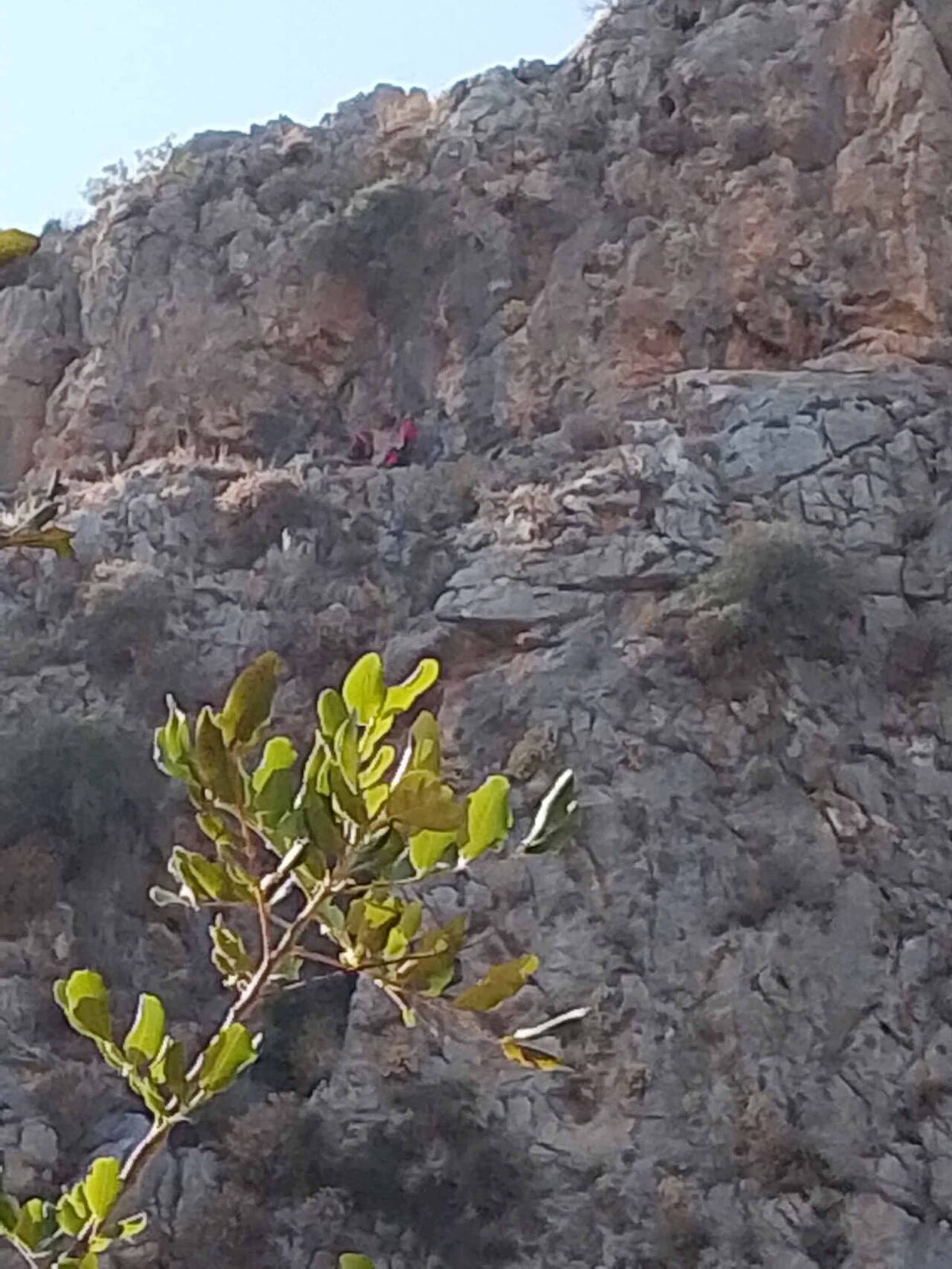 D A G D A M A H S U R K A L A N K E C I Y I J A N D A R M A K U R T A 865988 257227