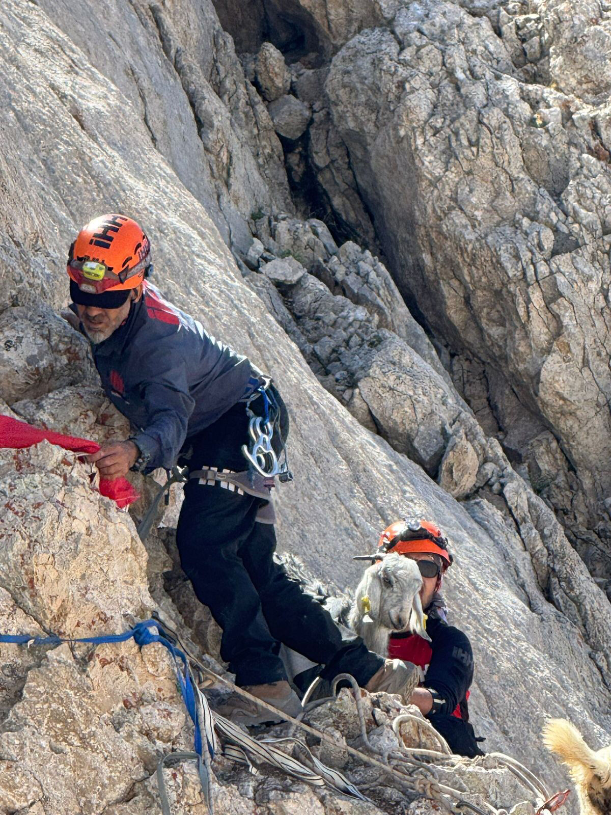 D A G L I K A L A N D A M A H S U R K A L A N 5 K E C I K U R T A R 876995 260531