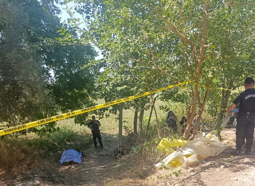 D E V R I L E N T R A K T O R U N U N A L T I N D A K A L I P H A Y A 883620 262512