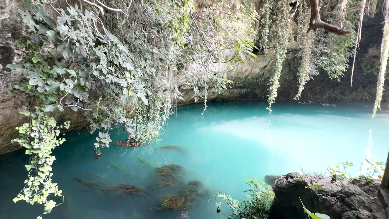 D U D E N D E K I R L I L I K T E N S O N R A S E V I N D I R E N E 871425 258766