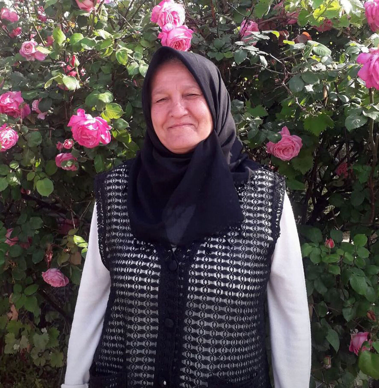 H A F I F T I C A R I A R A C L A C A R P I S A N M O T O S I K L E T T 881077 261709