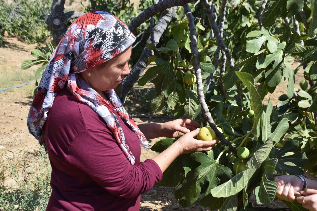 I N C I R D E H A S A T B A S L A D I K E R E V E T L E R D E K U R U 867272 257594