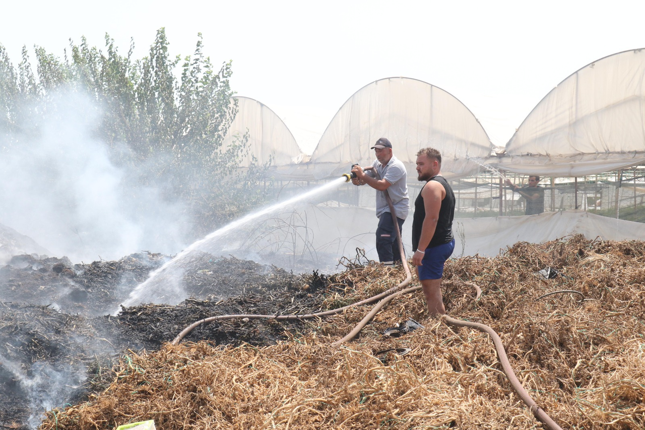 S E R A A T I K L A R I N I N O L D U G U A R A Z I D E K I Y A N G I N 864184 256627