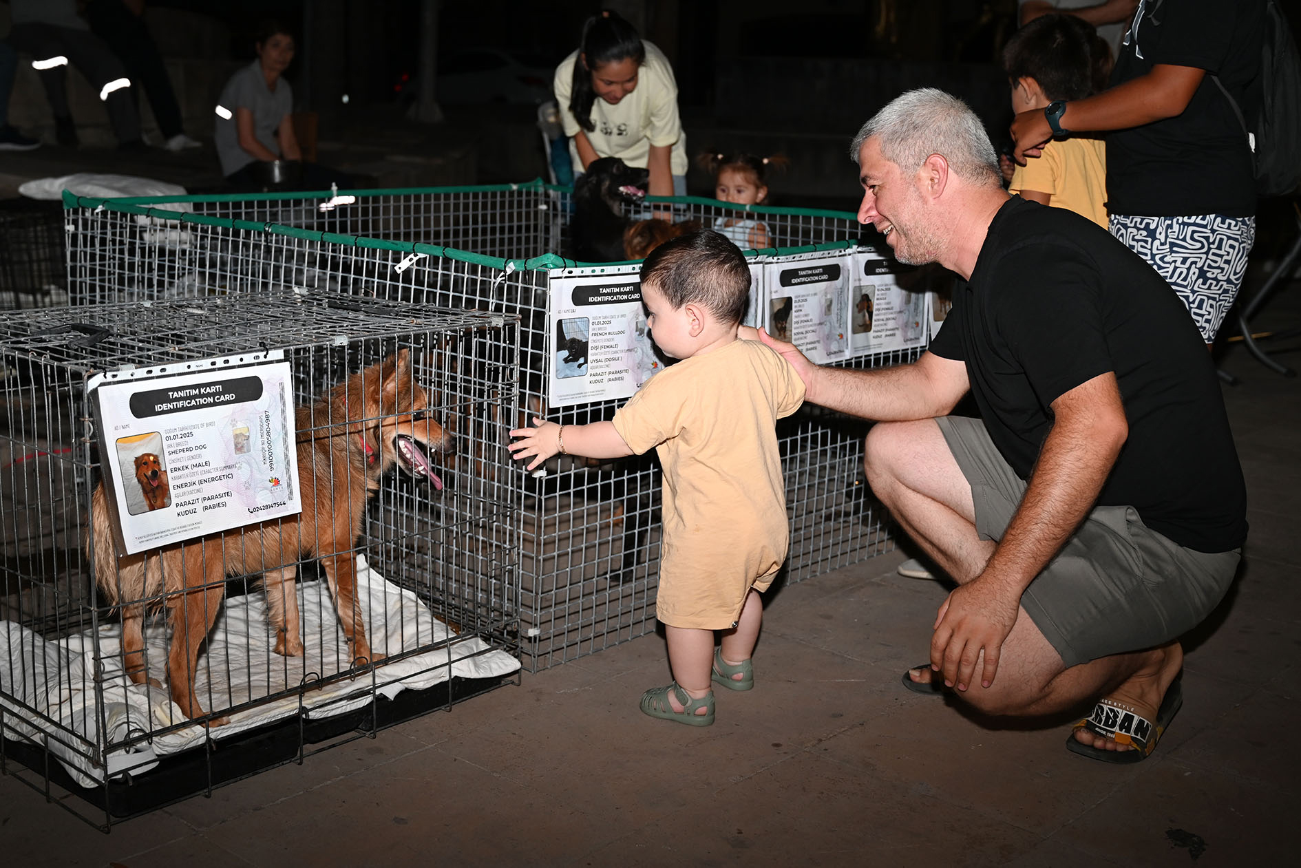 S O K A K H A Y V A N L A R I Y A R A R I N A I K I N C I K O N S E R 863720 256475