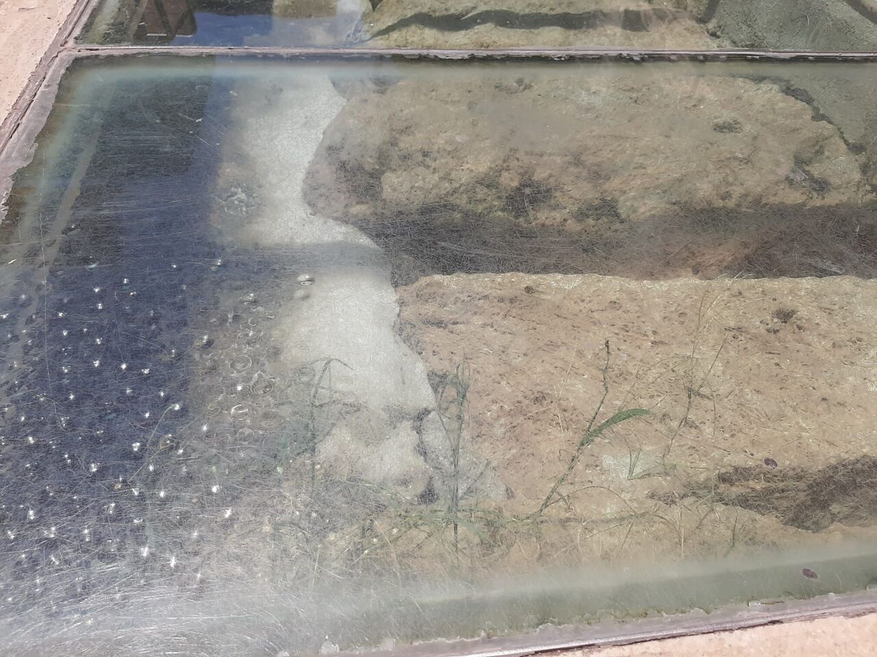 Whatsapp Image 2025 07 26 At 15.37.56 (3)