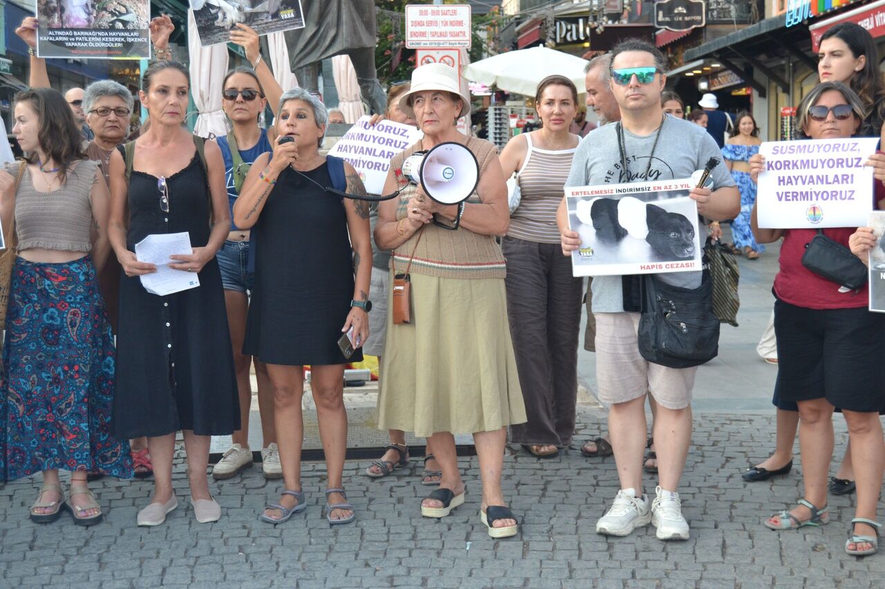 Whatsapp Image 2025 08 14 At 11.29.45