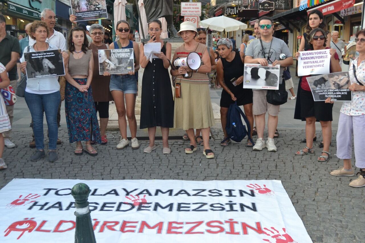 Whatsapp Image 2025 08 14 At 11.30.47