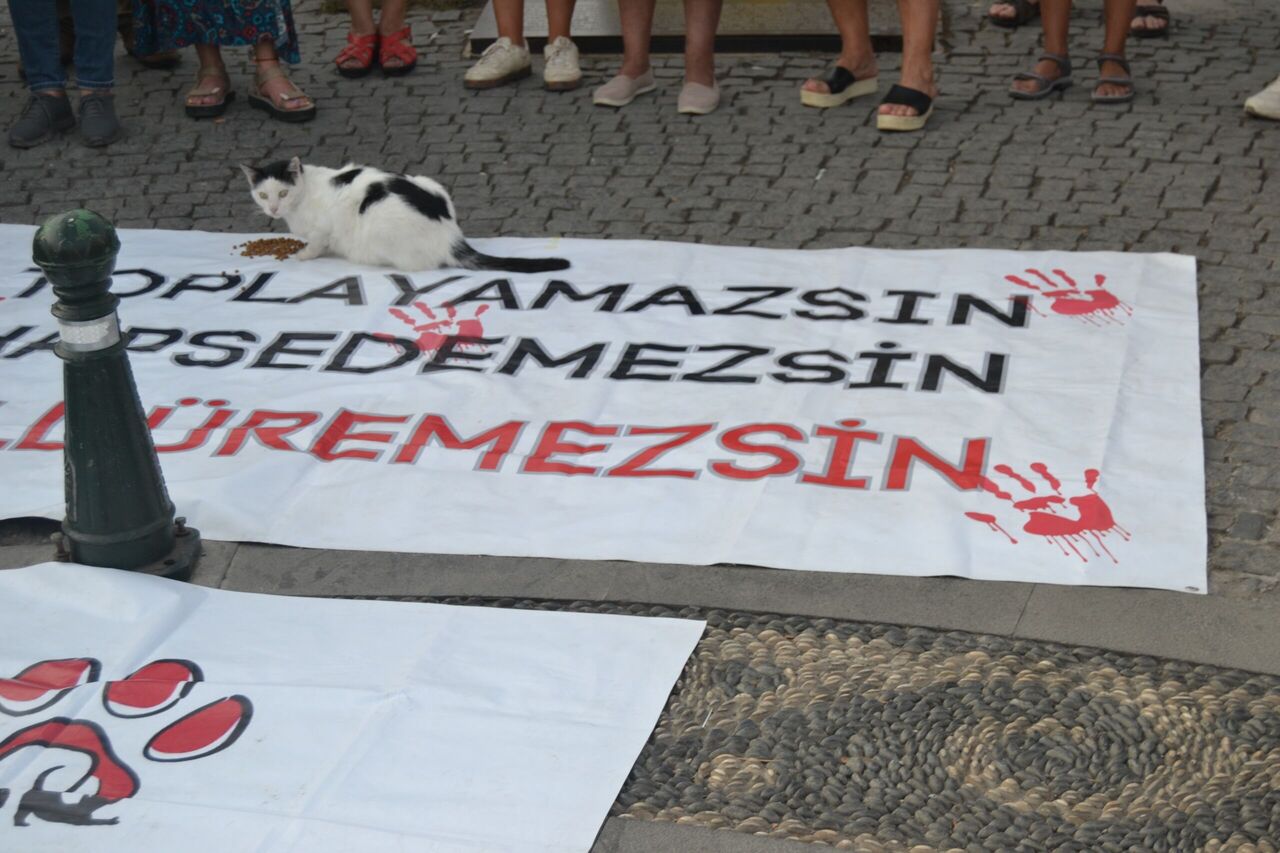 Whatsapp Image 2025 08 14 At 11.31.24