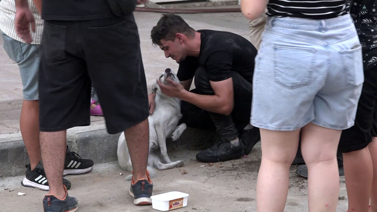 Y A N G I N C I K A N E V D E K I 2 K O P E G I I T F A I Y E K U R 865159 256958