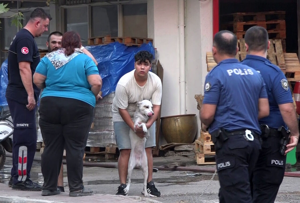 Y A N G I N C I K A N E V D E K I 2 K O P E G I I T F A I Y E K U R 865160 256958