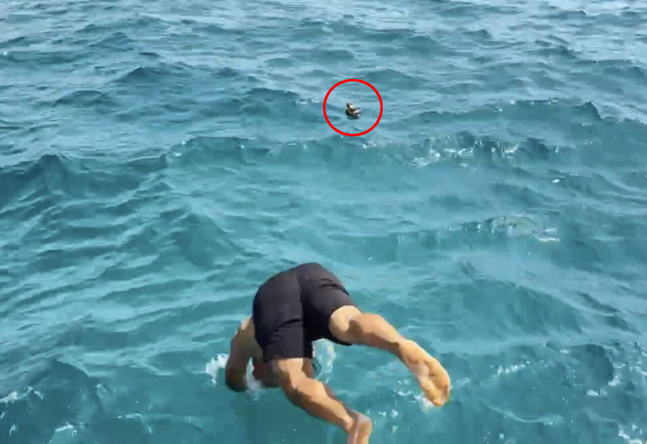 Y A R A L I M A R T I Y I T E K N E K A P T A N I K U R T A R D I 878489 260963