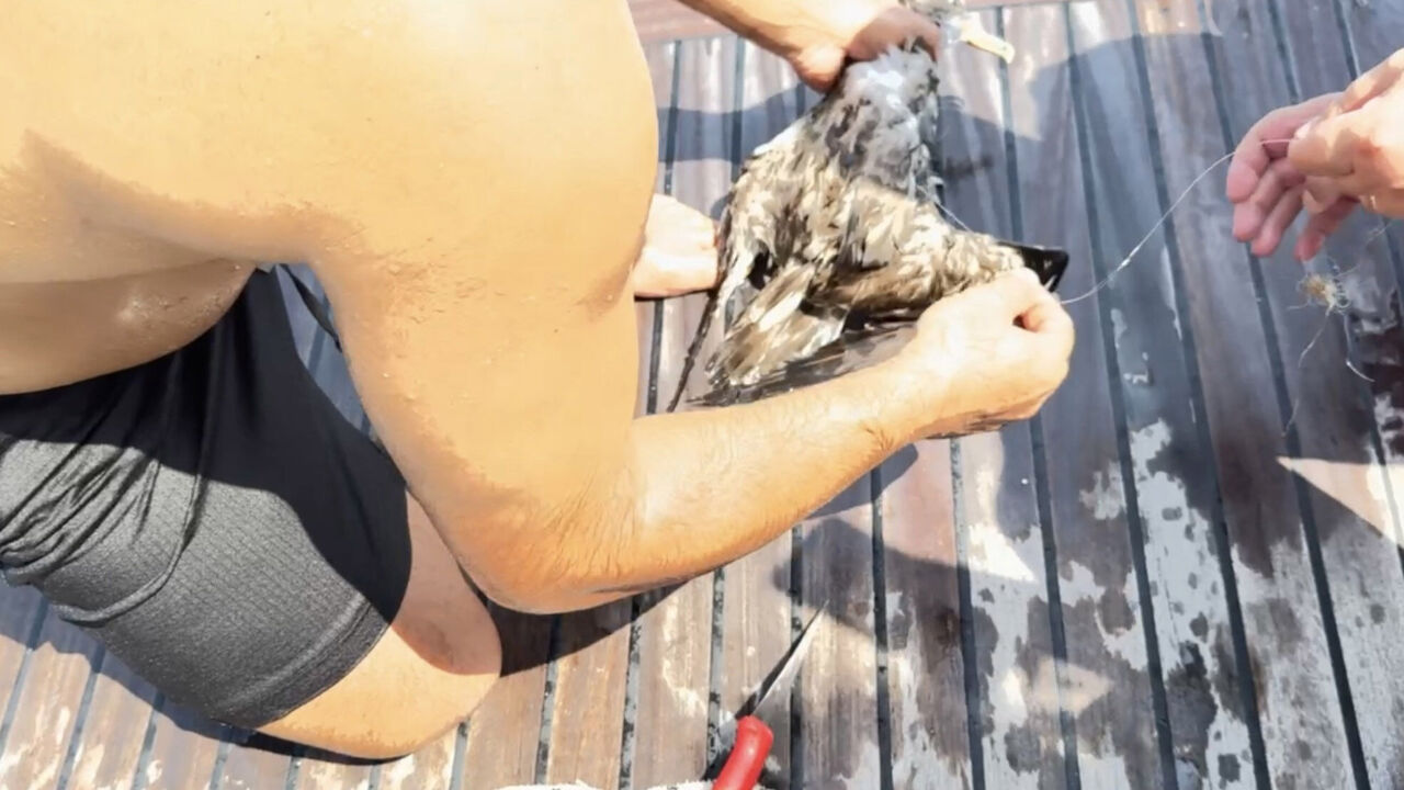 Y A R A L I M A R T I Y I T E K N E K A P T A N I K U R T A R D I 878490 260963