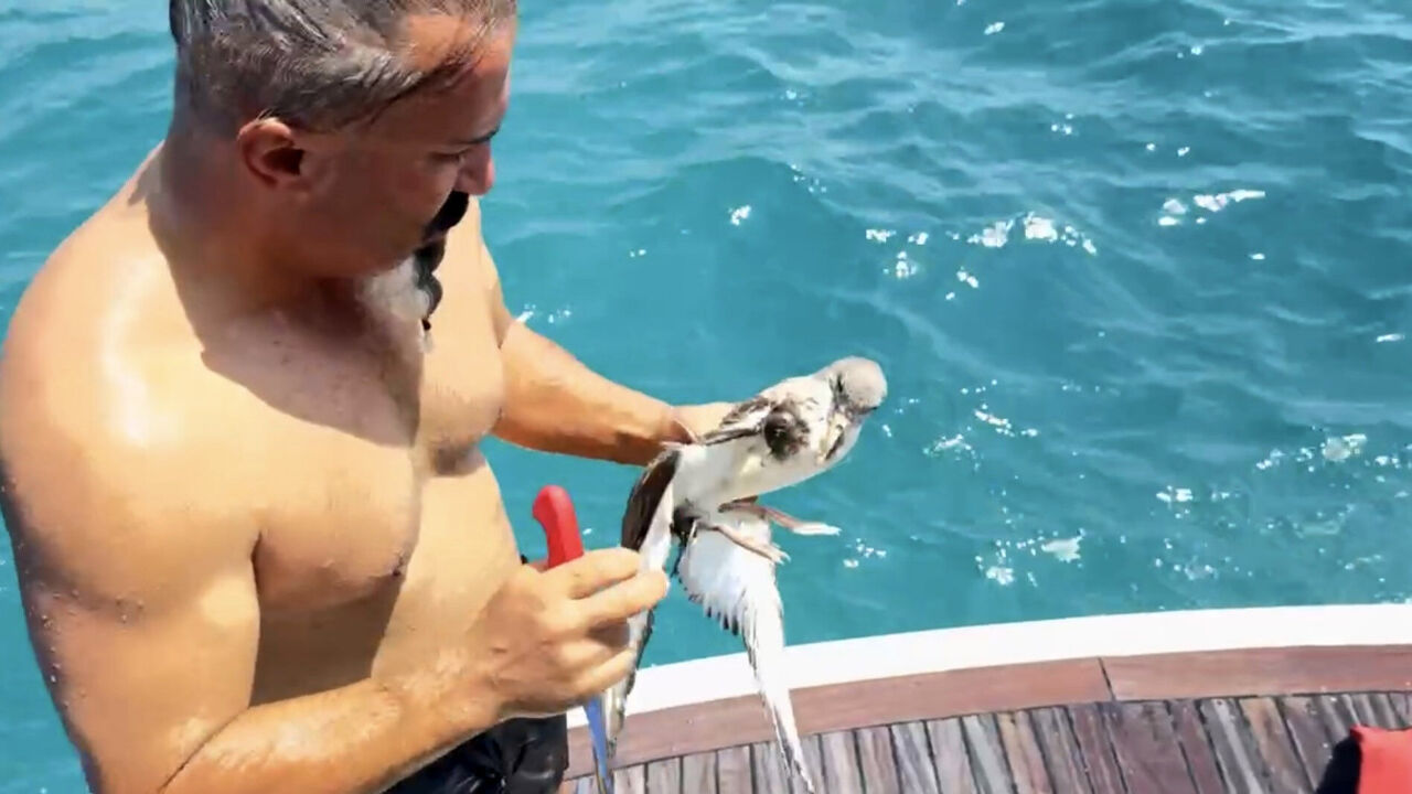 Y A R A L I M A R T I Y I T E K N E K A P T A N I K U R T A R D I 878491 260963