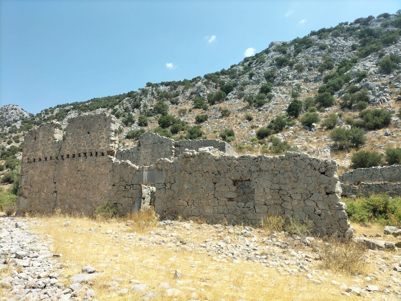 1F9D6637 2Eaa 4940 A626 Bfadd8B50Ea8