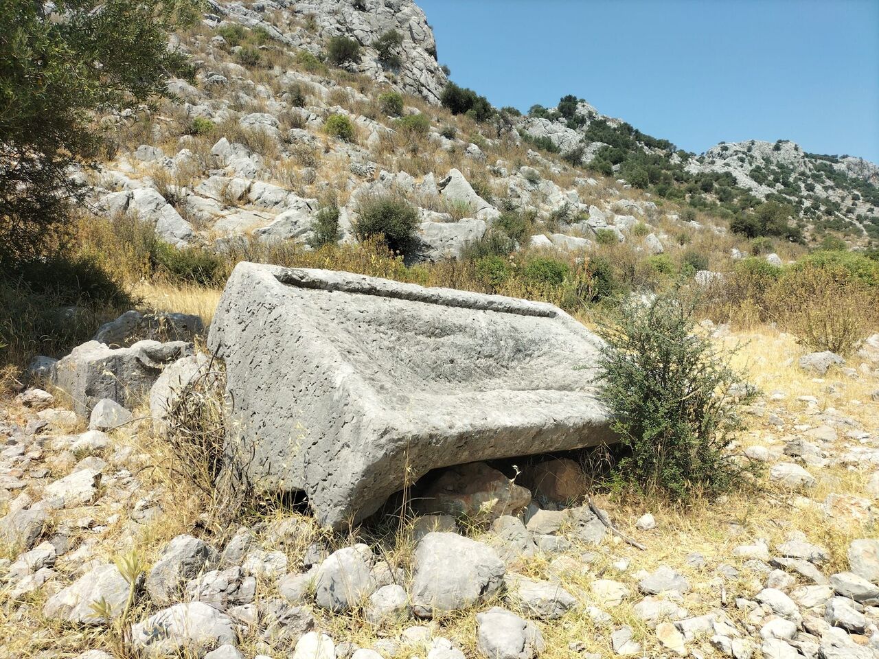 4588F997 9912 410F 9Ceb 19725C578C58