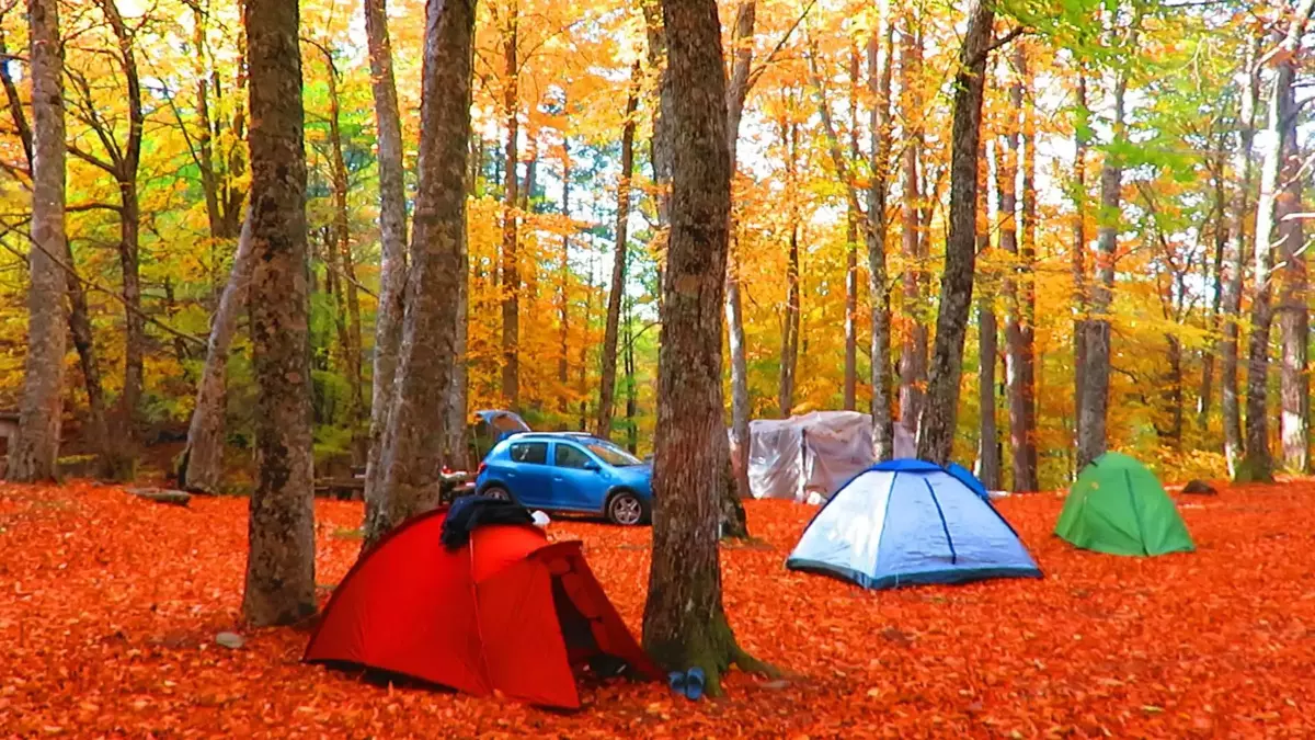 6206Fdc245D2A0C0140A2Dac