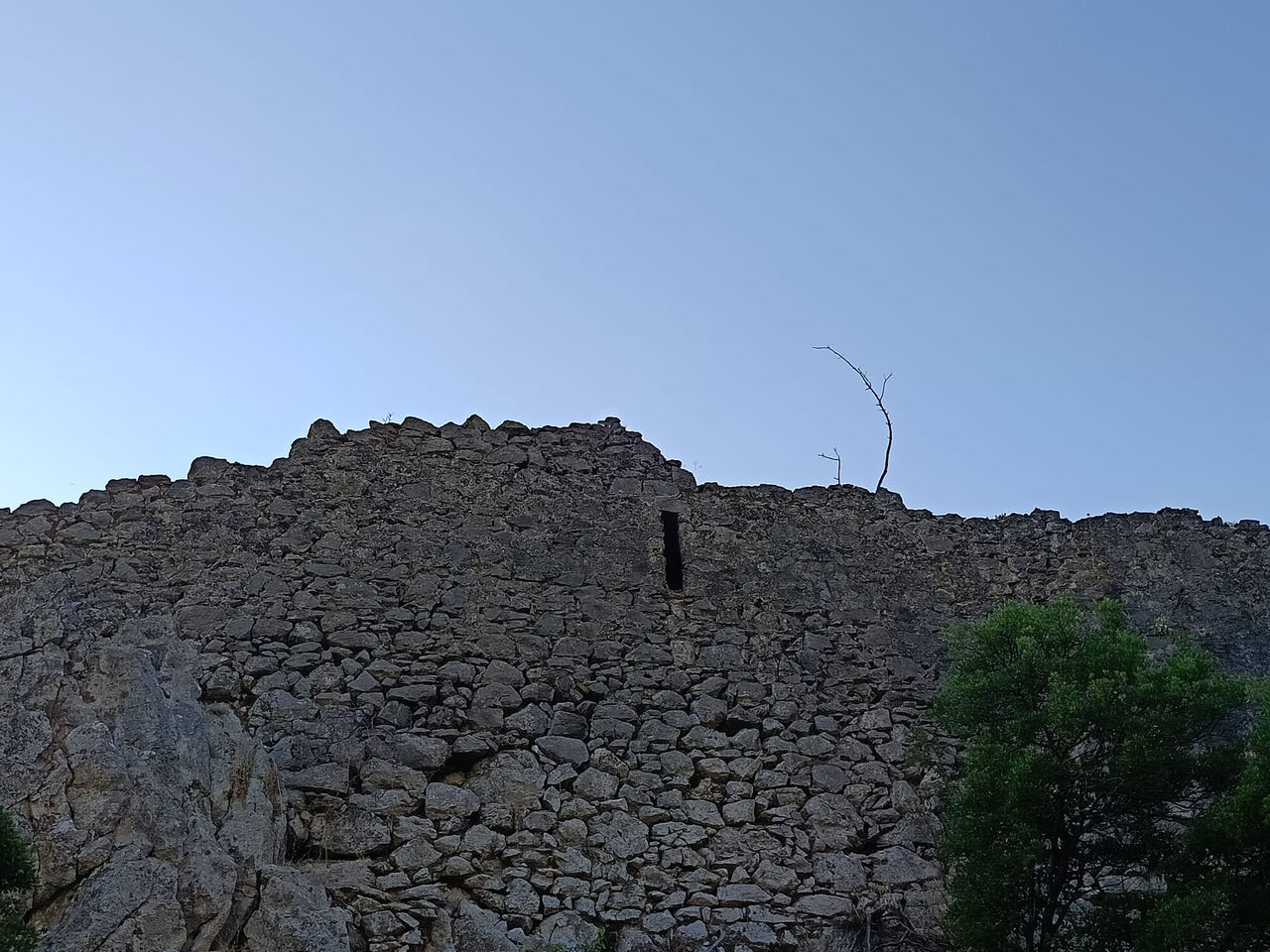 7C03239B 1E63 4A22 99E5 F8A63D920514