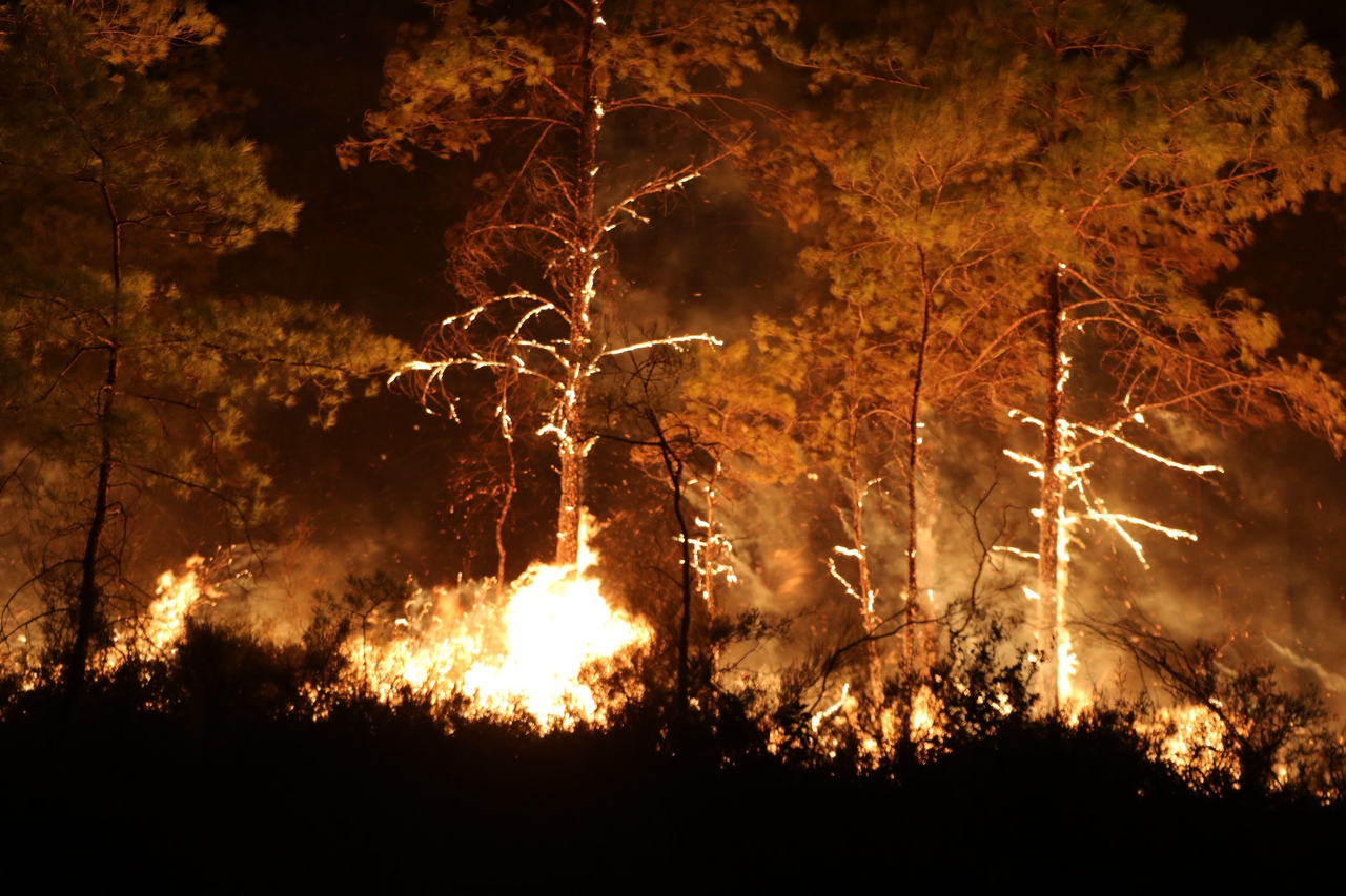 A L A N Y A D A K I O R M A N Y A N G I N I N D A 3 U N C U G U N 922542 274108